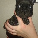 ���� �������, ������, 47 ��� - ��������� 17 ����� 2023