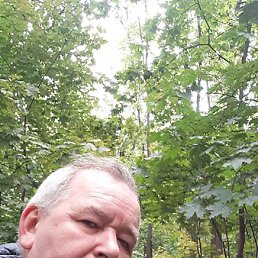 ����, ������, 58 ���