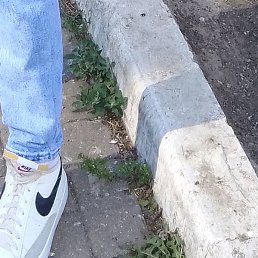 , , 43 