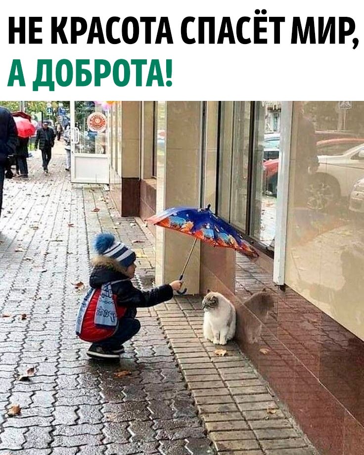   - 21  2023  08:09