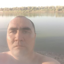 , 42, 