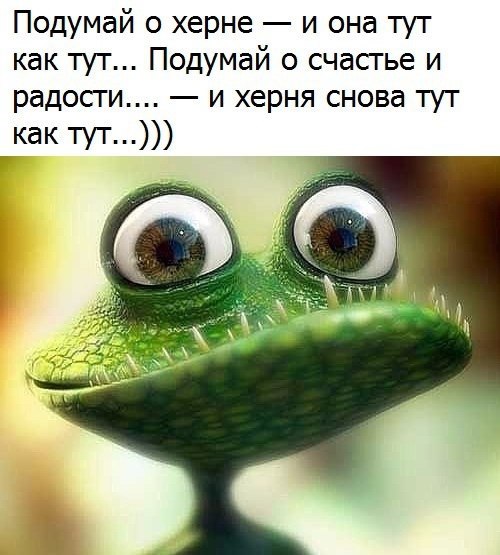 �������� - 6 ���� 2023 � 11:05