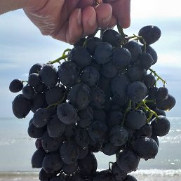 ���� .��, �����-���������, 59 ��� - ��������� 1 ������� 2023