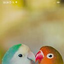 ���� ������, �����, 43 ���� - ��������� 30 ���� 2023