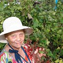 ���� ������, ���������, 81 ��� - ��������� 9 ������� 2023