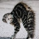 ���� ����, ���������, 75 ��� - ��������� 21 ������� 2023 � ������ ���� ����������