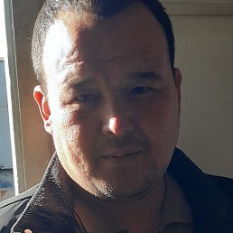 �����, ���������, 46 ���