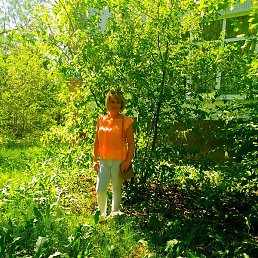 �����, ��������, 49 ���