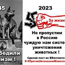 ���� ��������, ����������, 40 ��� - ��������� 8 ��� 2023 � ������ ���� ����������