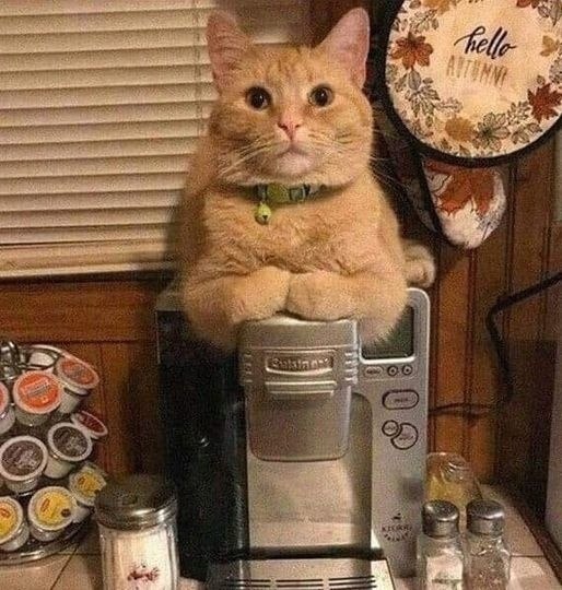  ,  )))