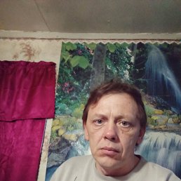 ���� ����, ���������, 48 ��� - ��������� 22 ������� 2023