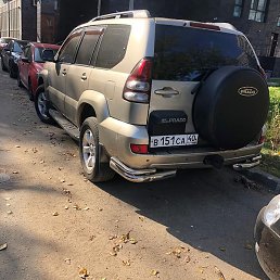 �����, ������, 55 ���