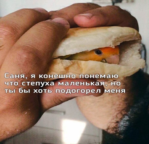    - 23  2023  02:35
