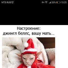 ���, ��������, 45 ���