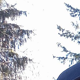 �������, ������, 52 ����