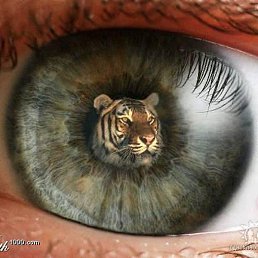 ����, ����, 62 ����