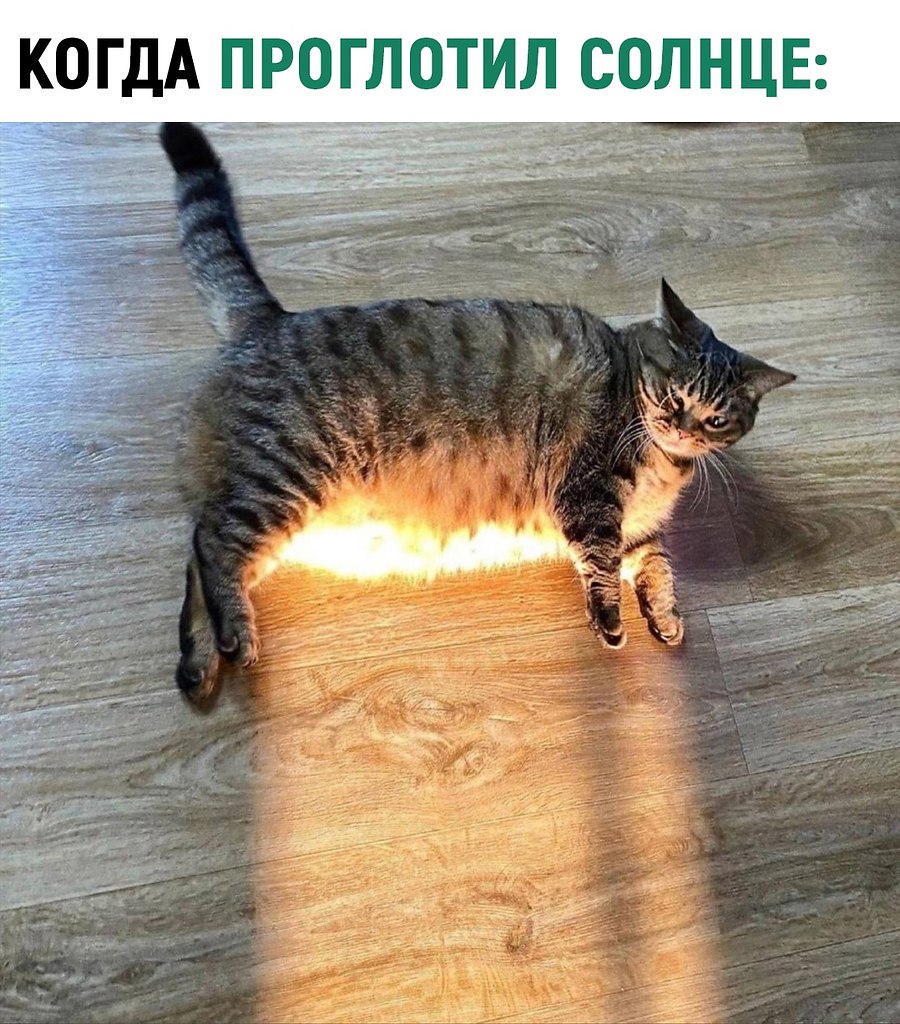   - 21  2023  13:36
