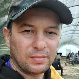 �����, ������, 43 ����