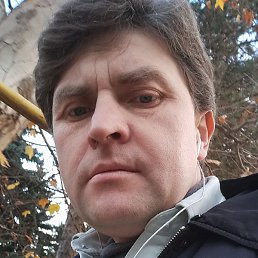 �����, �������, 48 ���