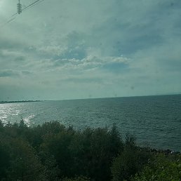 �����, ������, 46 ���