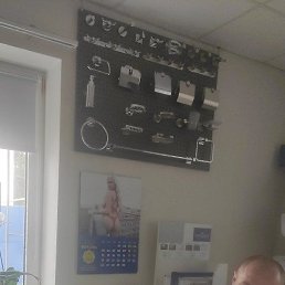 ����, �������, 66 ���