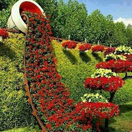 ������, ������, 33 ����