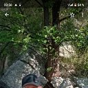 ���� ����, �������, 41 ��� - ��������� 10 ���� 2023