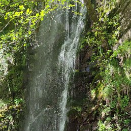 ���������, �����������, 38 ���