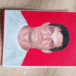 ���� ��, ������, 49 ��� - ��������� 17 ���� 2023