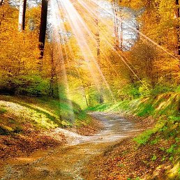 ����, �������������, 75 ���