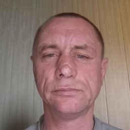 ������, �����, 46 ���