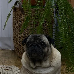 ���� �����, ����������, 47 ��� - ��������� 24 �������� 2023