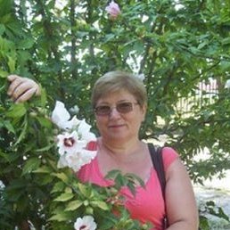 �������, �������, 69 ���