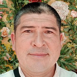 ������, ������, 46 ���