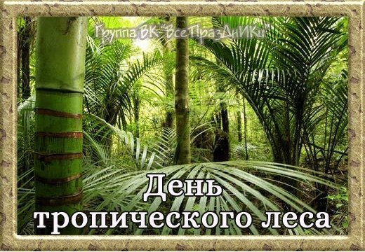�������: �����, ������, ���������, �����, ������, �����, �������, ����, �������� - 4
