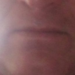 �������, ������, 48 ���