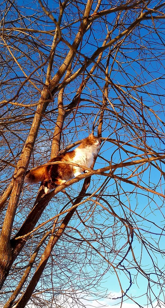 "Ну и где, эта ваша Весна?" | ТИПИЧНЫЙ КИРОВ | Фотострана | Пост ...