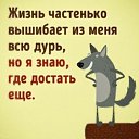 ���� ����, ������� ������, 56 ��� - ��������� 8 ������ 2023 � ������ ������ ��������
