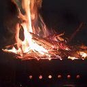 ���� �������, ��������, 23 ���� - ��������� 18 ������ 2023 � ������ ���� ����������