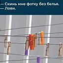 Vasik, , 66  -  2  2023    