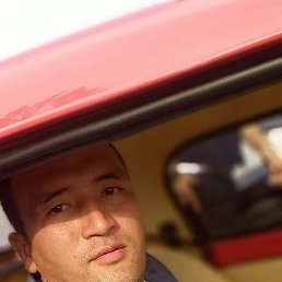 Sardor, , 31 