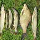 ���� �����, ������, 41 ��� - ��������� 27 ���� 2023 � ������ ���� ����������