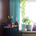 ���� ������, ����, 47 ��� - ��������� 13 ����� 2023 � ������ ���� ����������