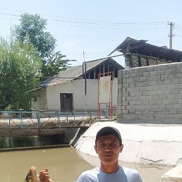 Azizbek, �����, 43 ����