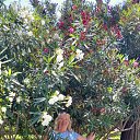 ���� �������, ����������, 55 ��� - ��������� 22 ���� 2023 � ������ ���� ����������