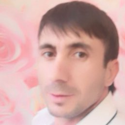 ����, �����-���������, 41 ���