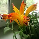 ���� ������, ������, 67 ��� - ��������� 2 ������� 2023 � ������ ���� ����������