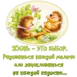 ���� �������, �������, 36 ��� - ��������� 8 �������� 2023