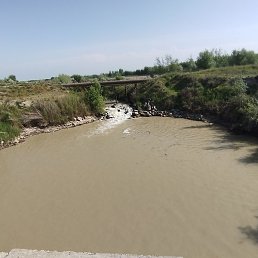 Abdulaziz, �����������, 25 ���