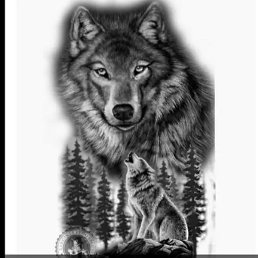 Nadir Yeraz, ����, 39 ���